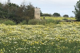 Casa adosada en alquiler en Santa Eugènia