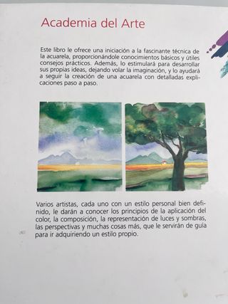 Introduccion a la Acuarela (Spanish Edition)