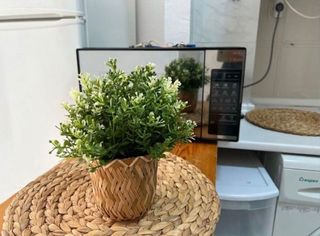 Piso en alquiler en Playa de los Locos en Torrevieja