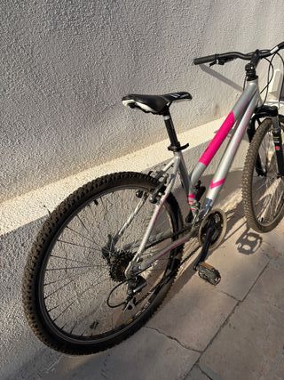 Bicicleta de montaña plateada y rosa