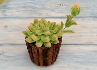 Vasetto in velluto marrone e verde