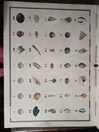 Calendario Bellezas de la Naturaleza