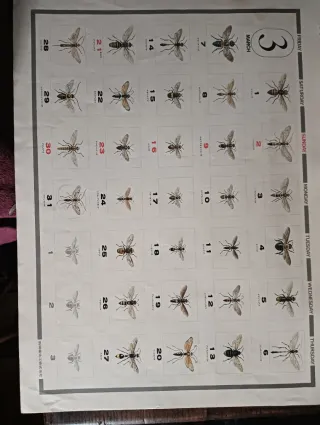 Calendario Bellezas de la Naturaleza