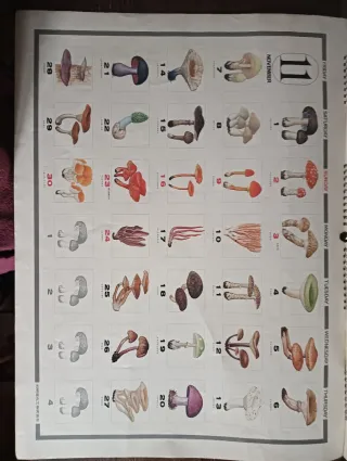 Calendario Bellezas de la Naturaleza