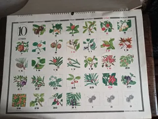 Calendario Bellezas de la Naturaleza