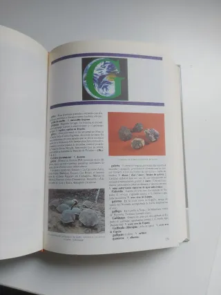 Diccionario de la naturaleza BBVA