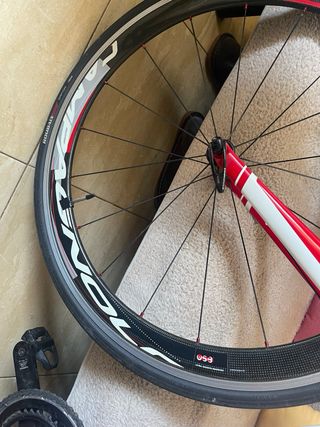 Bicicleta Specialized Talla 51