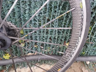 Ruedas Mavic Carbono bici carretera