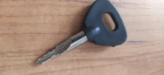 Antirrobo Volante Piton