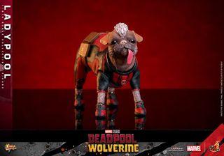 Ladypool Hot Toys 1/6 Deadpool & Wolverine