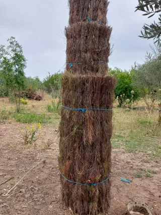 Rollos de Brezo para Jardinería y Paisajismo