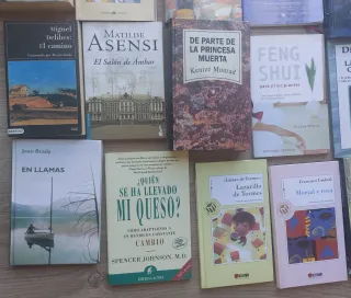 Unidad a 3 euros. Libros.