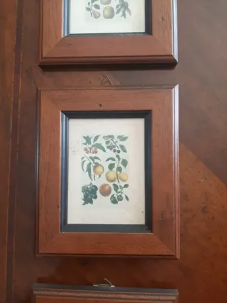 Quadretti con cornice in legno