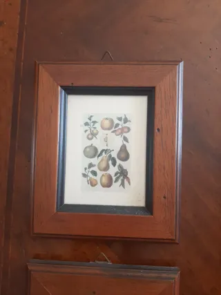 Quadretti con cornice in legno