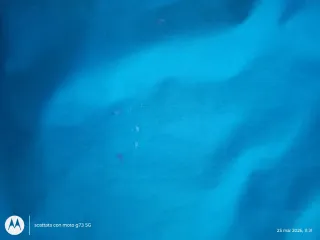 Giacca The North Face Dryvent Blu/Nero L da ragazz