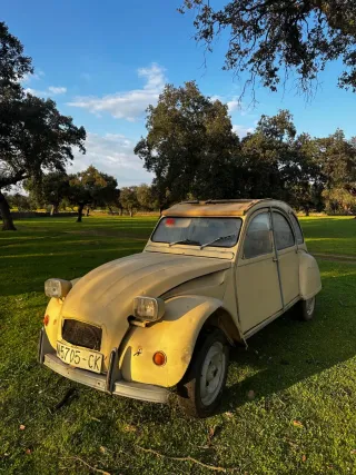 Citroen 2cv  1978