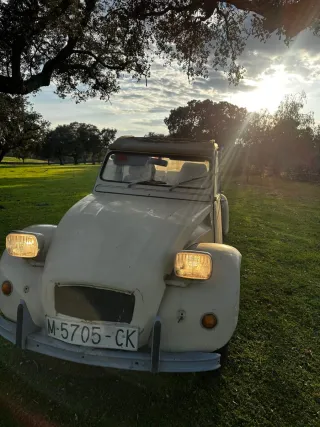 Citroen 2cv  1978