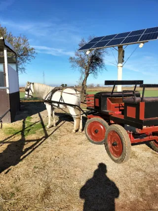 Se vende o se cambia por algo que me interese.