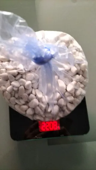 Sassi decorativi marmo bianco acquario piante