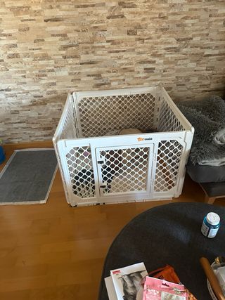 Parco per animali domestici a 4 pannelli