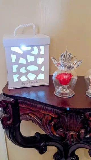 Due rosa dei venti illuminati