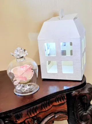 Due rosa dei venti illuminati