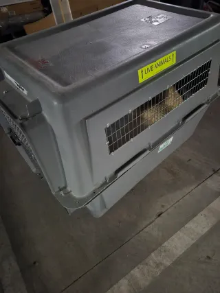 Transportín perro grande gris