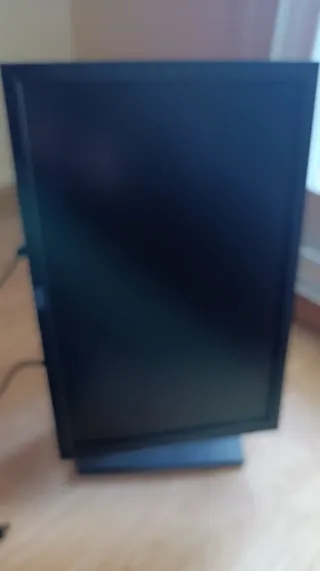 Monitor Dell 1909Wb Negro