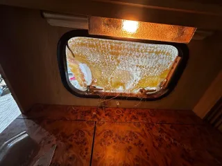 Caravana Wilk - 750kg