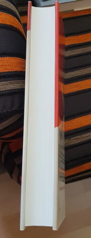 El Niño 44 envío por InPost