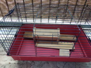 Jaula conejo/cobaya/hurón+parque y casita