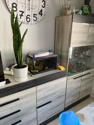 Acuario 90-100L con mueble y filtro