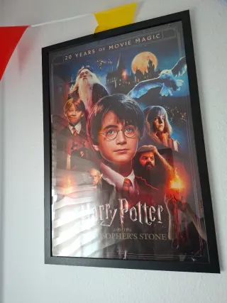 Cuadro Harry Potter y la Piedra Filosofal