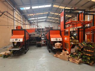 Maquinaria industrial para envasado de frutas