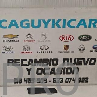 MOLDURA PUERTA TRASERA IZQUIERDA SEAT IBIZA NUEVO