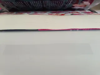 Libro: Mi animadora secreta de Rose Gate