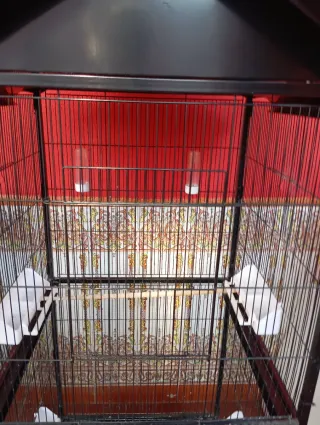 Jaula para pájaros (canarios, ninfas, aga no envio