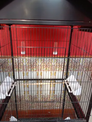 Jaula para pájaros (canarios, ninfas, aga no envio