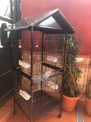 Jaula para pájaros (canarios, ninfas, aga no envio