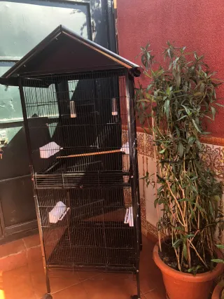 Jaula para pájaros (canarios, ninfas, aga no envio
