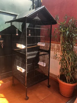 Jaula para pájaros (canarios, ninfas, aga no envio