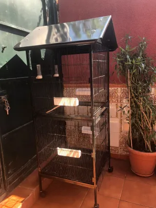 Jaula para pájaros (canarios, ninfas, aga no envio