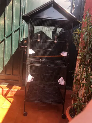 Jaula para pájaros (canarios, ninfas, aga no envio