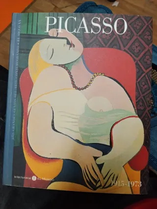 Libro Picasso 1915-1973