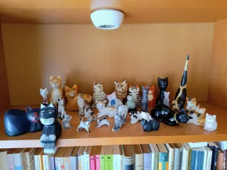 Collezione Gatti: 28 figure