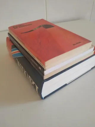 Diccionario y 4 libros
