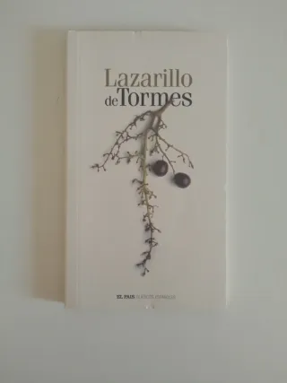 Diccionario y 4 libros