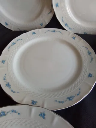 Platos de porcelana Treviso