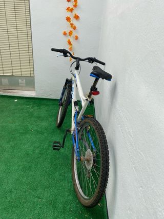 Bicicleta de Montaña