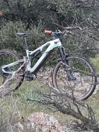 E-BIKE RAYMON CARBONO 150 talla M